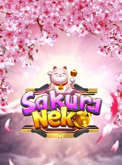 bkkd bkkd