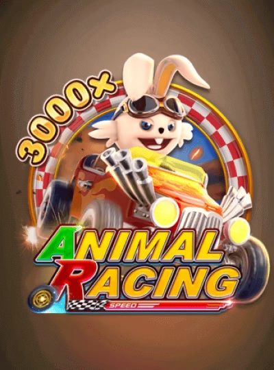 bkkd bkkd